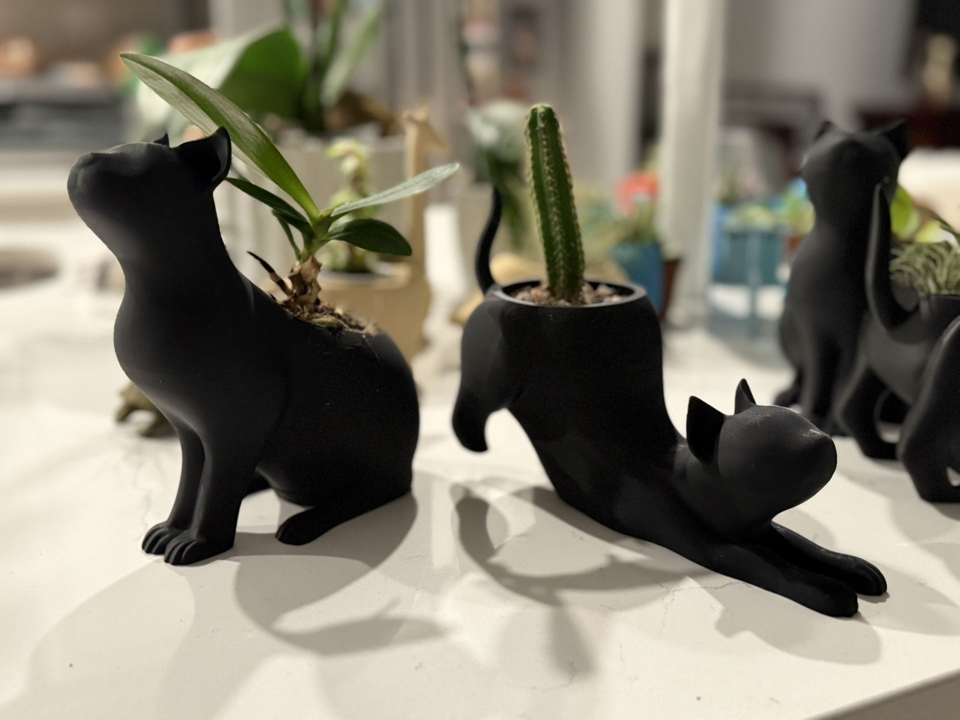 Black Car Planters