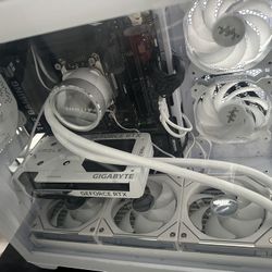 Not Free Spec In Description 