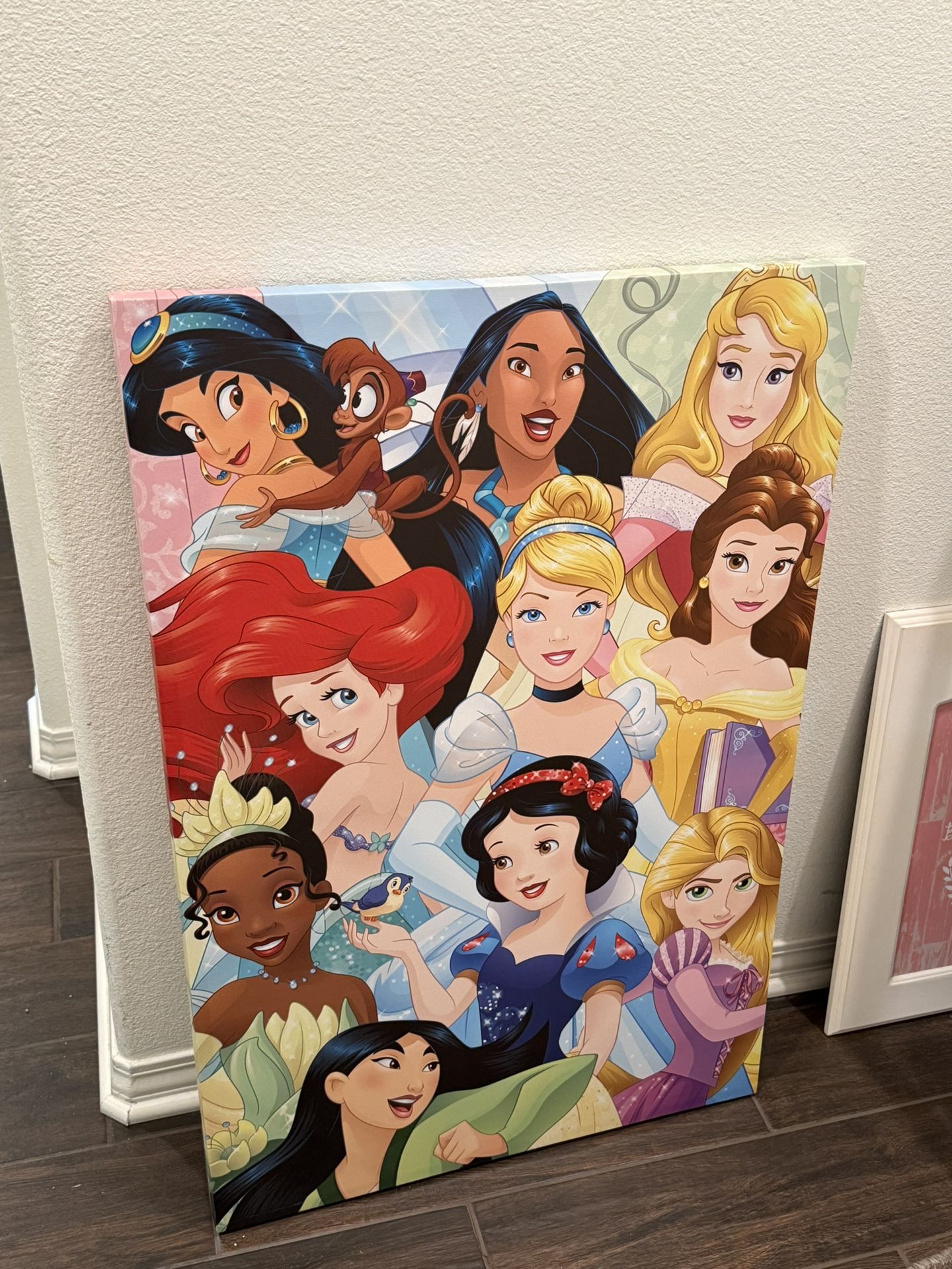Large Disney Princess Canvas Picture