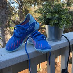 13 K Adidas Predator