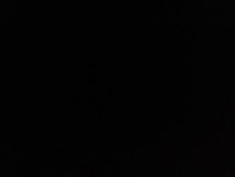 Harley Davidson Motorcycle Emblems Metal Decal Willie G Skull Black & Stainless