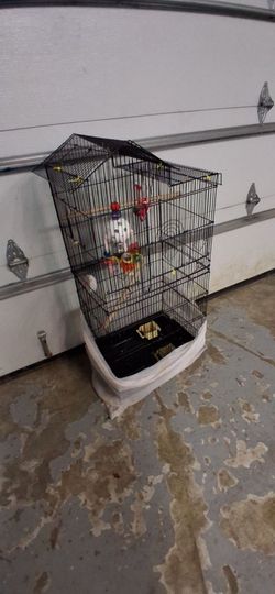 Bird house 🏠
