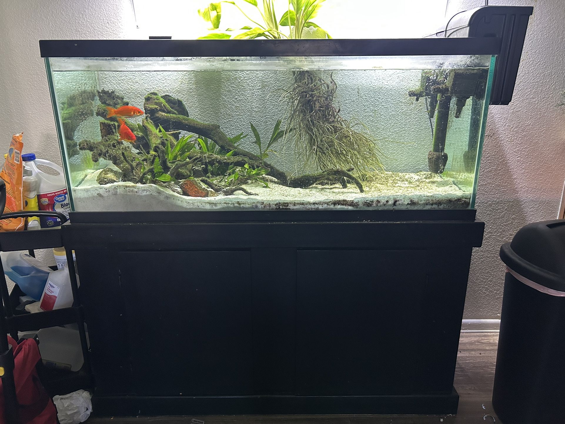 75 gallon tank with stand