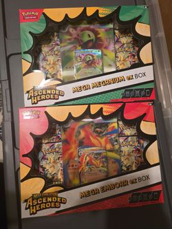 pokemom ascended heroes mega emboar/meganium boxes