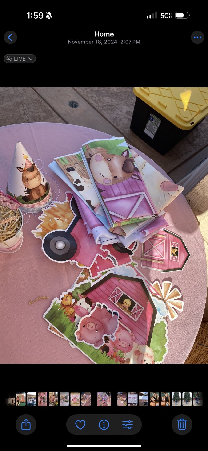 Farm Birthday Decor