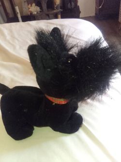 MacDougal the Scottie Dog!
