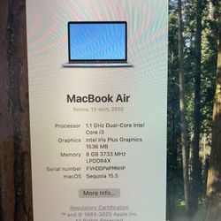 2020 Apple MacBook Air 