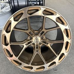 Rohana En Color Bronce Brillante En La Cara. 