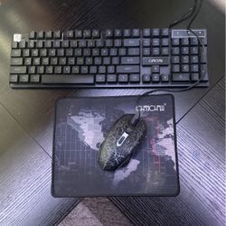 Mouse and keyboard 