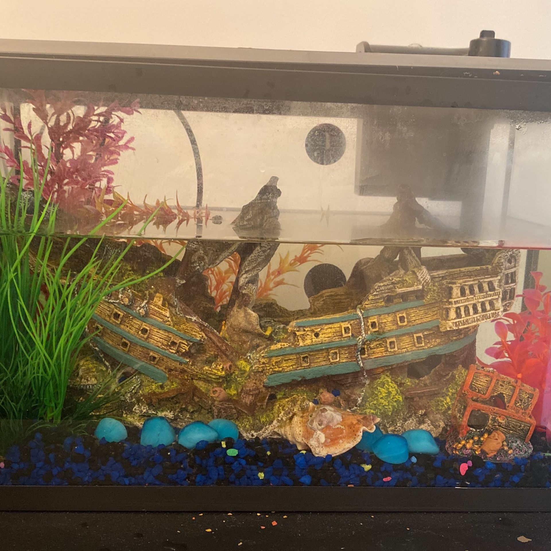 Aquarium 10 Gallons
