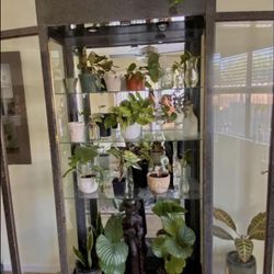 Large Antique China Cabinet 