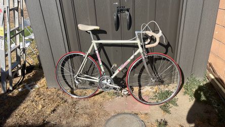 Bottechia italian bike