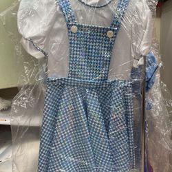 Sparkly Dorothy Costume from Wizard of OZ