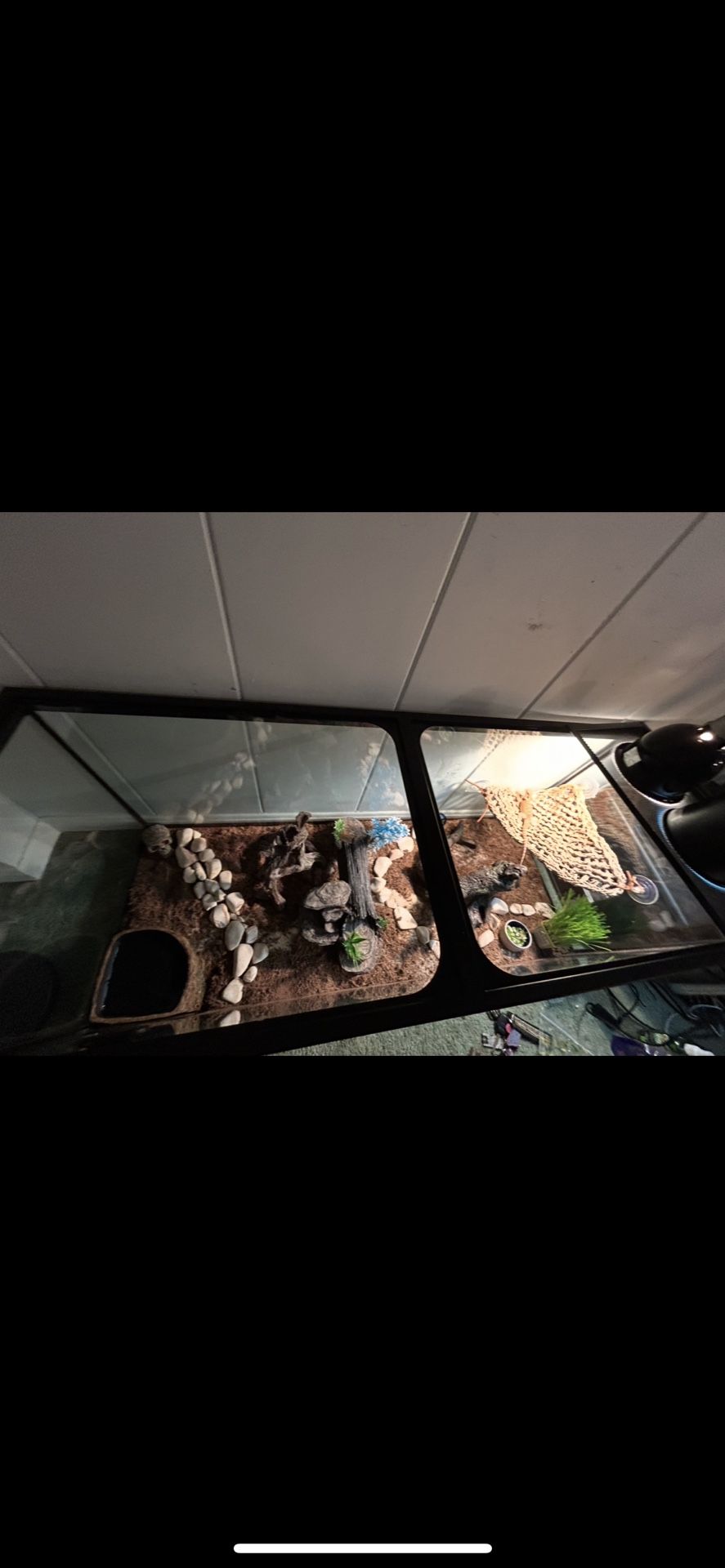 75 Gal Tank