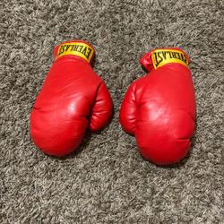 Boxing Gloves 