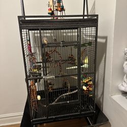 large bird cage