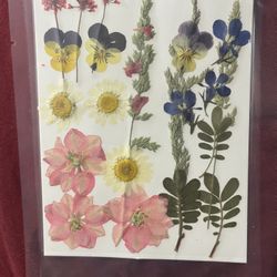 Dried Flowers