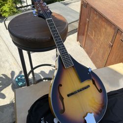 Mandolin Instrument Vangoa