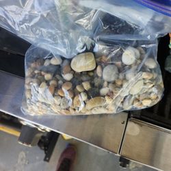 10$ Fish Tank Accessories
