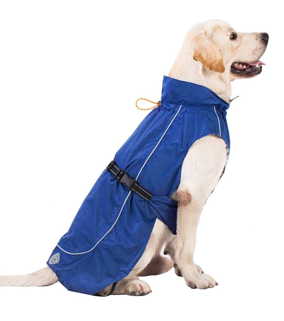 Dog Raincoat