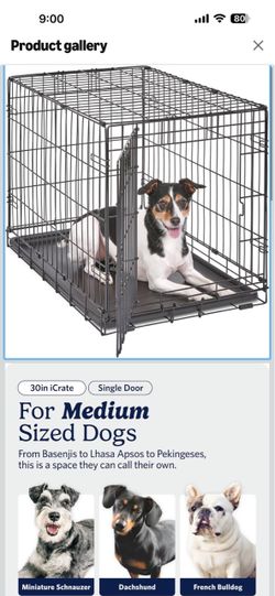Midwest 30-Inch Single Door iCrate, for Medium Breeds, 21-40 lbs