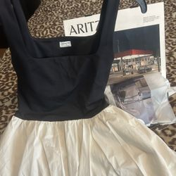 Aritzia Dress Medium 