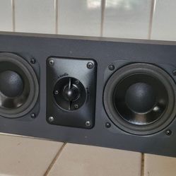 Polk Center Speaker 