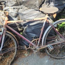 Bike From 1973 California Pomona