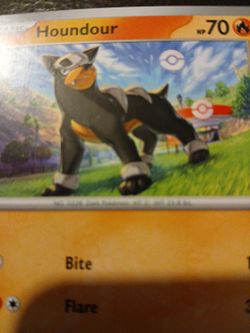 Pokemon Houndoor TCG Collection