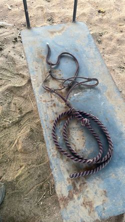 Lead halter