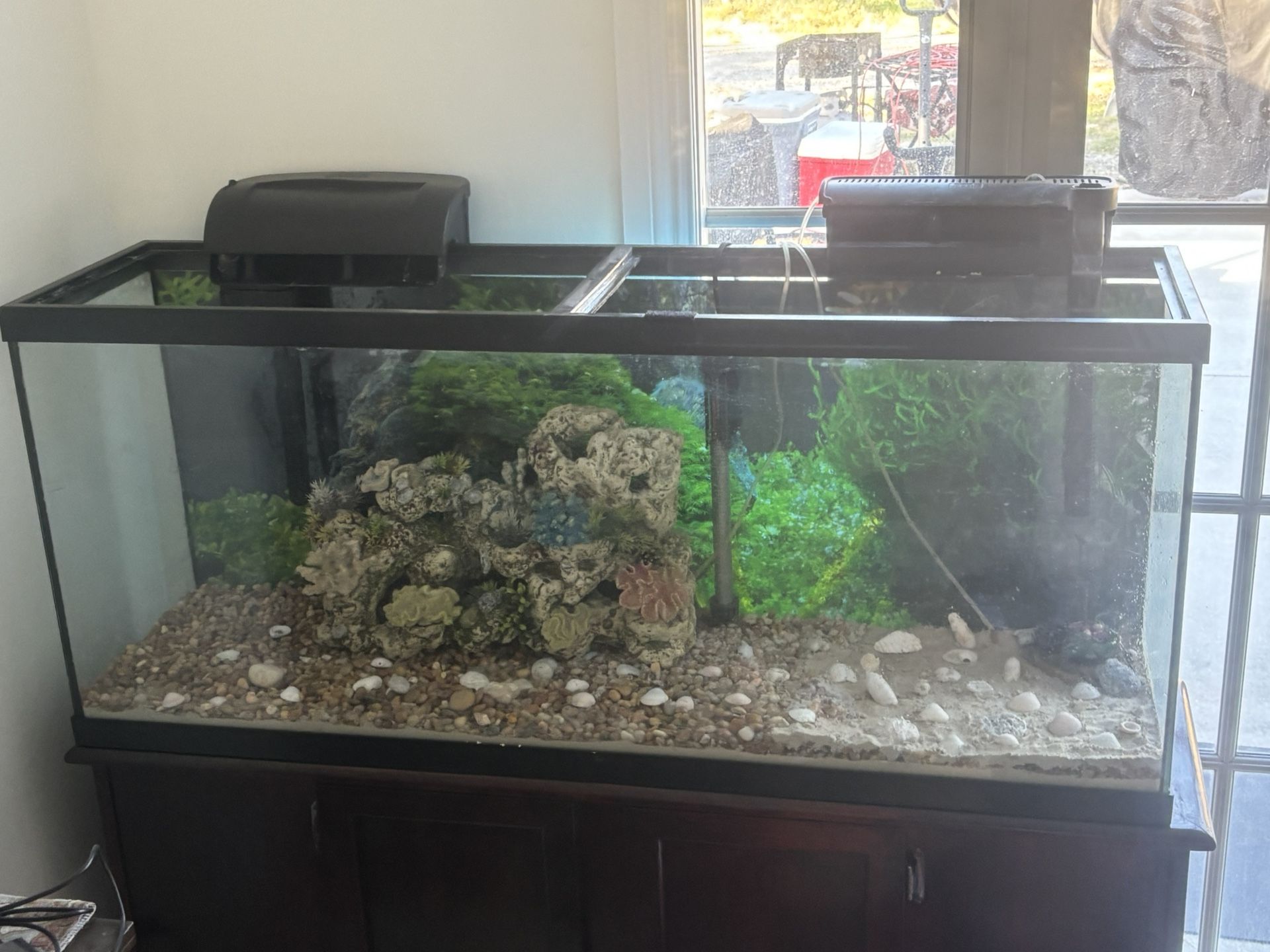 55 Gallon Fish Tank With Wooden Cabinet