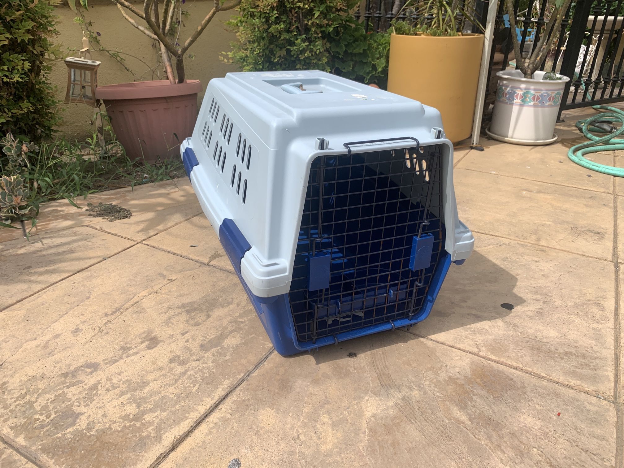 Dog Carrier Travel Kennel Dogloo Inc. Medium