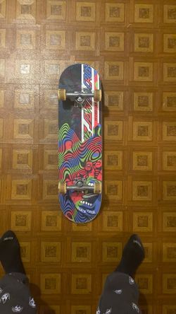 Santa Cruz Skateboard 