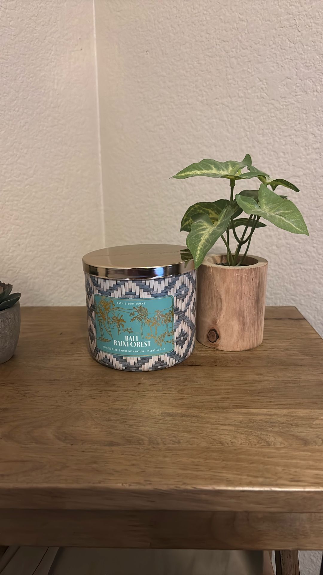 Bath & Body Works Bali Rainforest Candle