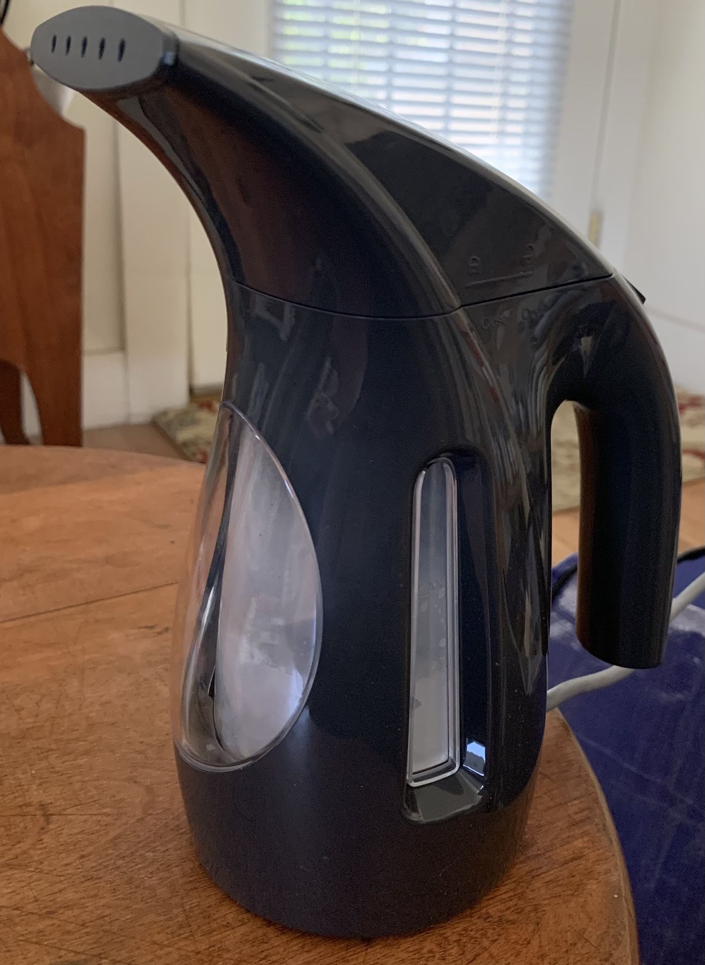 Vapor Steamer