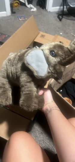 Circus Elephants