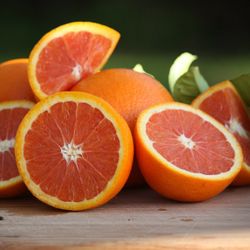 Grafted semi Dwarf pink cara cara orange trees 😃🌿🌿🍊🍊🍊