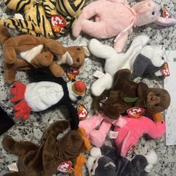 9 TY Beanie Babies For Sale(Few Rare)