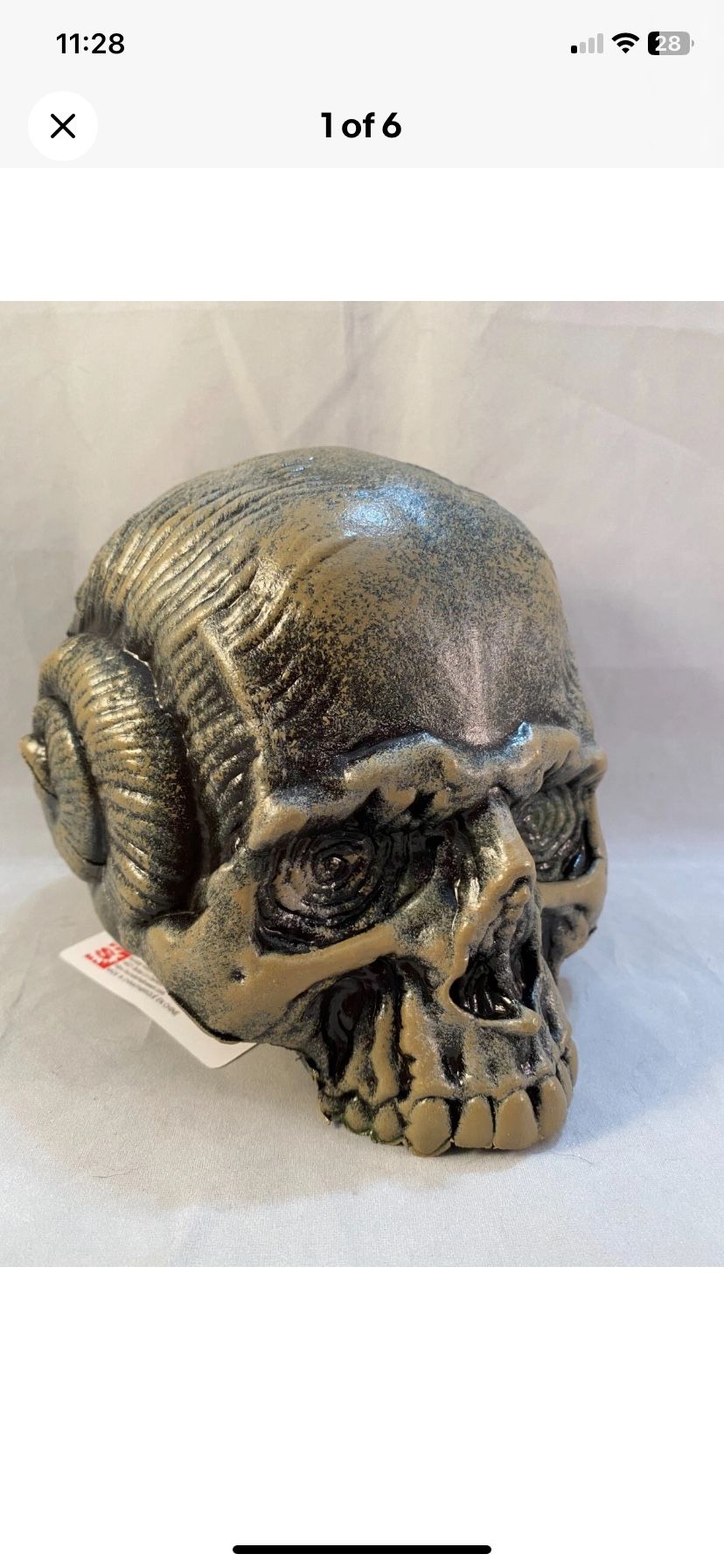 Human skull with Ramshorn on the side 7 inches Halloween prop decoration