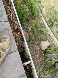 Gutter Cleaning 