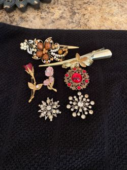 Brooches and Hair Clips