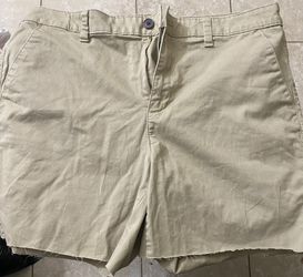 Kaki Shorts