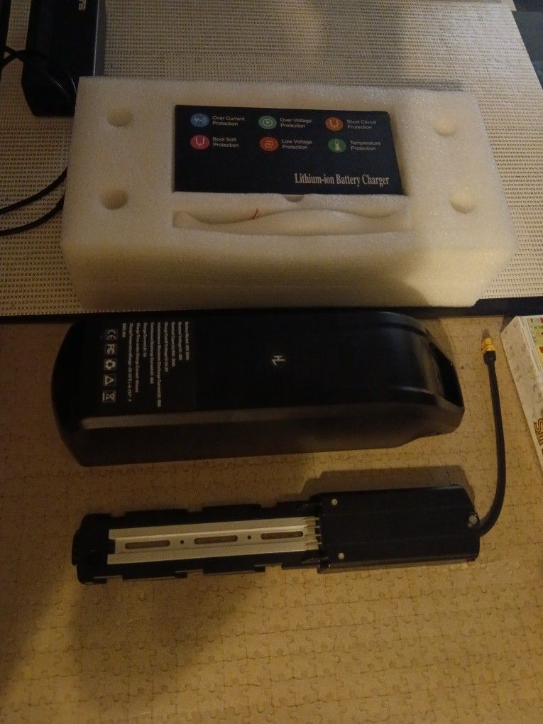 48 V 20 Ah Lithium Ion Battery With Charger Mount And Keys