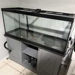 Fish Tank For Sale