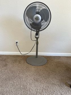 Fan