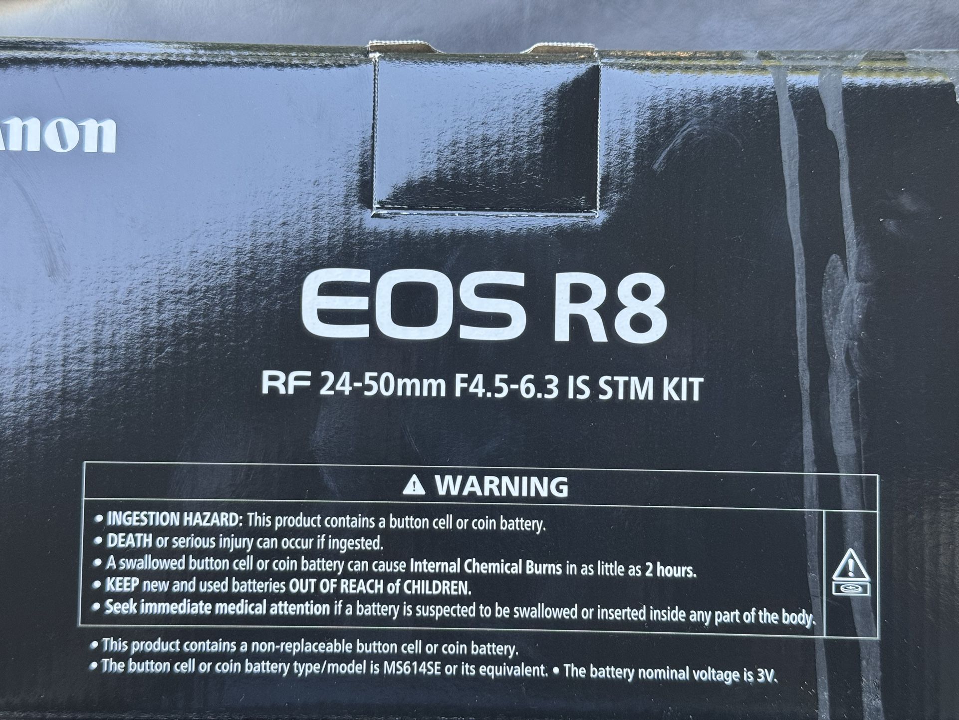 Camera Canon EOS R8