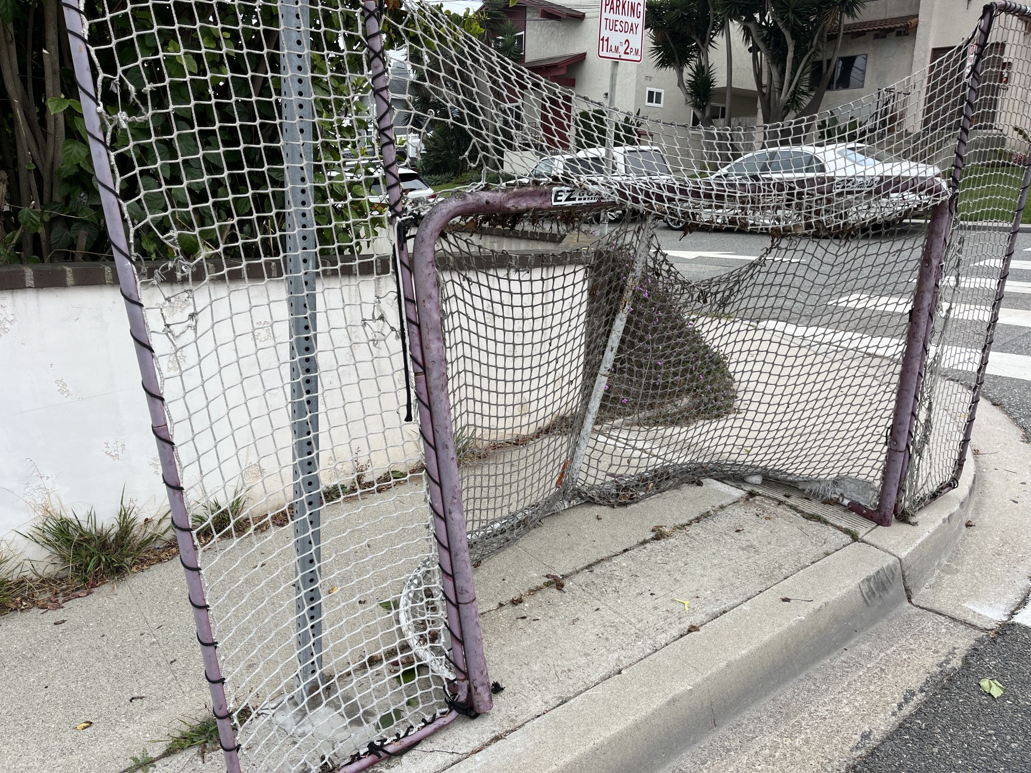 Free Hockey Goal Net