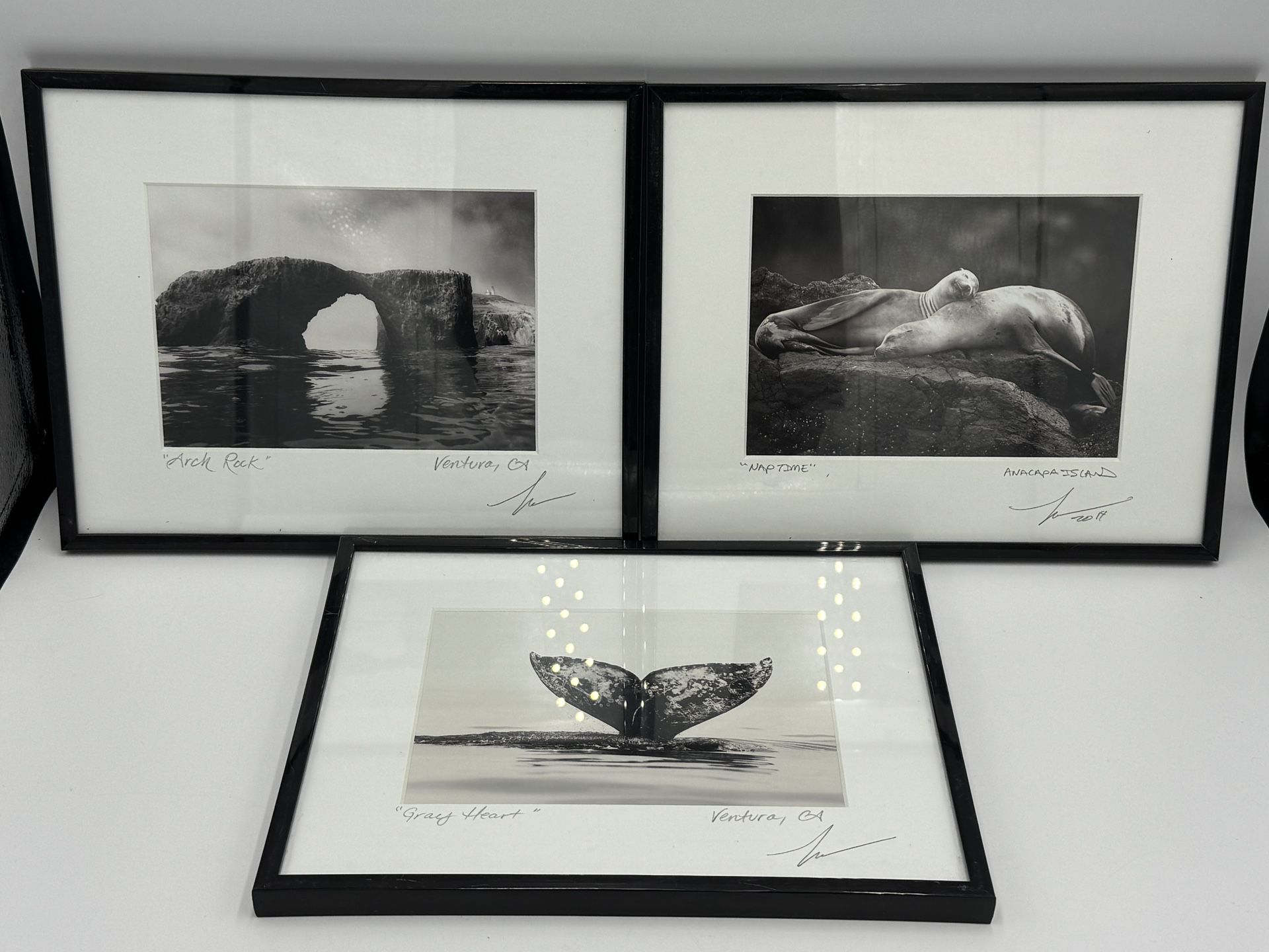 Steve Munch Photography Lot 3 Framed Gray Heart Nap Time Arch Rock Signed