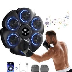 Intelligent Music Boxing Machine-Perfect  gift for kids