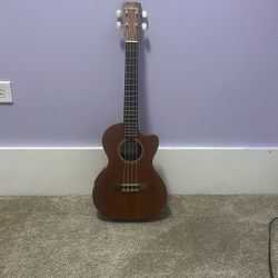 Beautiful Electric Cordoba Ukulele 